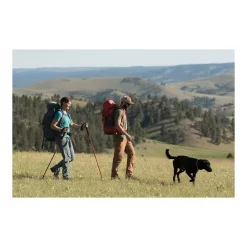 Alps Mountaineering Conquest Trekking Pole -Outdoor Camping Equipment conquest trekking poles B0784692DC PT06