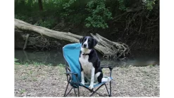 ALPS Mountaineering Leisure Chair -Outdoor Camping Equipment opplanet alps mountaineering leisure chair teal 8151928 av 7